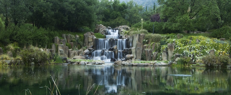 A waterfall with trees and plants at the background