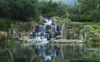 A waterfall with trees and plants at the background